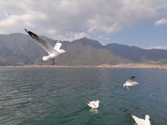 -丽江泸沽湖景区
