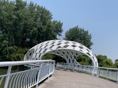 -同里国家湿地公园