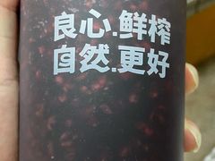 -潮汕良心果汁(金新北路店)