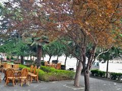 android_upload_pic-汉长安城未央宫国家考古遗址公园