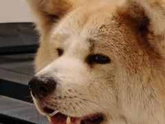 -YCHL Studios健身工作室(市二宫店)