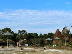 -宁波野生动物园