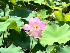 -湖南湘都生态农业园