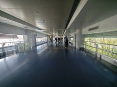 -重庆江北国际机场-T2航站楼