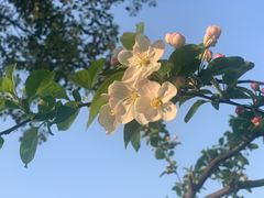 -南京金牛湖风景区