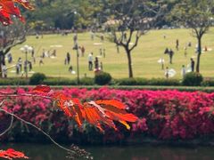 -深圳龙潭公园