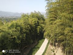 -良渚古城遗址公园