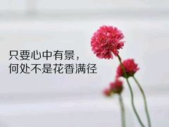 -鲜力达果品批发直销(青山店)
