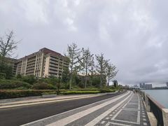 -星光岛