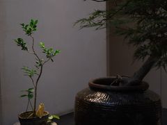 -元古本店(南锣鼓巷店)