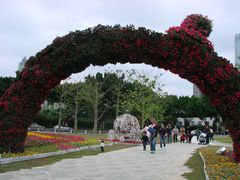 景点-二沙岛艺术公园