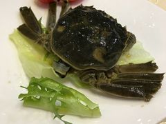 -南湖船菜大酒店