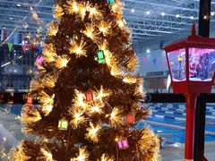 -吉林大学前卫校区南区-日新楼