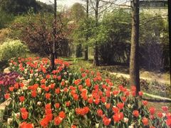 -黑龙江省森林植物园