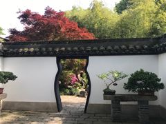 -上海醉白池公园