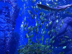 -波塞冬旅游度假区