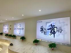 -单色舞蹈