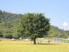 -艾米稻香小镇