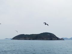 -海驴岛(荣成市)