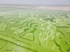 -察尔汗盐湖