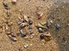 -西涌国际滨海旅游区