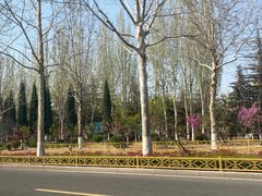 -山东理工大学