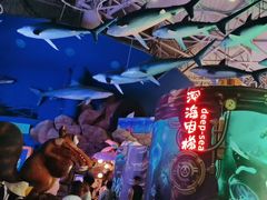 -烟台海昌鲸鲨海洋公园