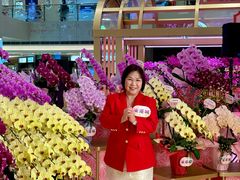 -香港东港城