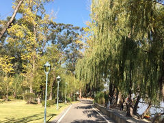 西昌邛海湾柏栎酒店-西昌邛海湾柏樾酒店(原邛海湾柏栎度假酒店)