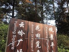 -铁山坪森林公园