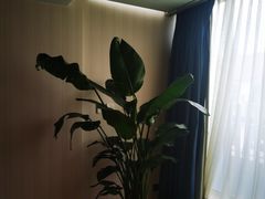 -北京金龙潭御瑞酒店(花园桥地铁站店)