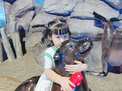 -福州罗源湾海洋世界旅游区