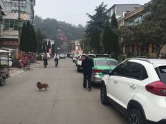 -龙门李家三旦羊肉汤馆