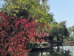 -鄱阳湖国家湿地公园
