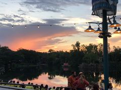 -奥兰多迪士尼动物王国乐园