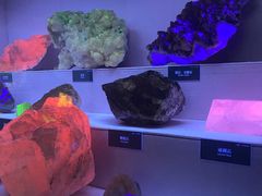 -湖南省地质博物馆