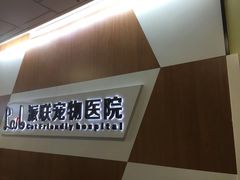 -派联宠物医院·24h·CT·异宠