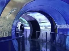 -房山世界地质公园博物馆