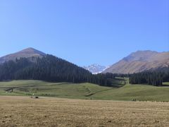 -新疆那拉提国家旅游度假区