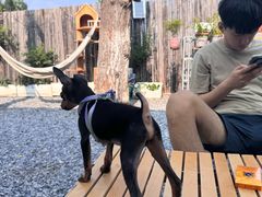 -小时光咖啡馆(开森度假森林店)