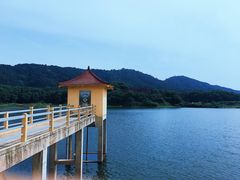 -青龙山国家森林公园