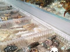 -山海经·海边人家 海鲜新青岛菜(扬州路店)