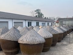 -苏州市吴中区光福窑上花果蜜饯厂