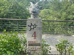 -中山市树木园