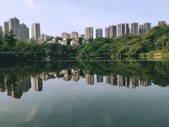 -重庆彩云湖湿地公园