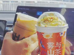 -雾与山茶(大禹城店)