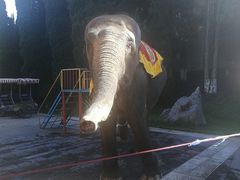 -云南民族村