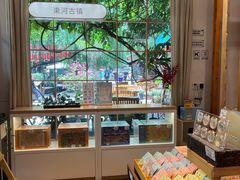 -猫的天空之城概念书店(束河店)
