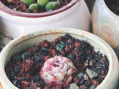 -中环花鸟鱼虫市场