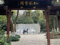 -白马涧龙池景区